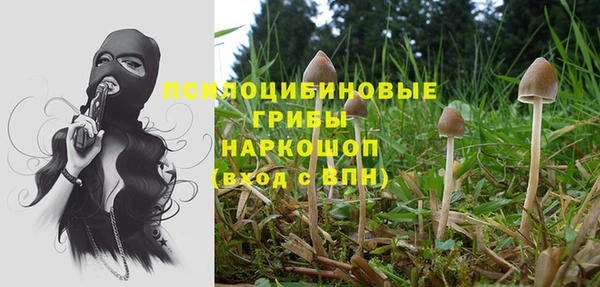 кристаллы Бородино